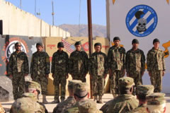 Team Task Force Vipers
